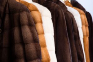 elegir una prenda de piel